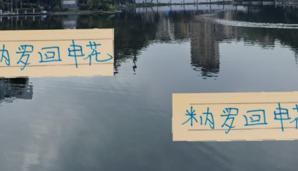 马莱莱的接班人米内罗回申花 联赛指望不上他了 只能看亚冠